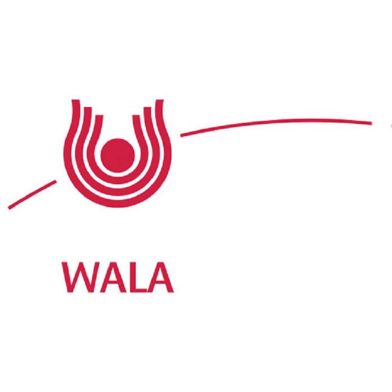SILICEA COMP 20G GL WALA